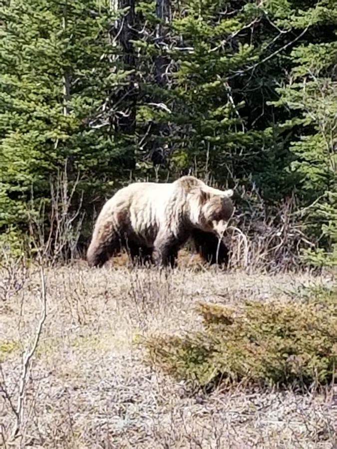 Roche Bonhomme Rustic Suite Jasper Exterior foto